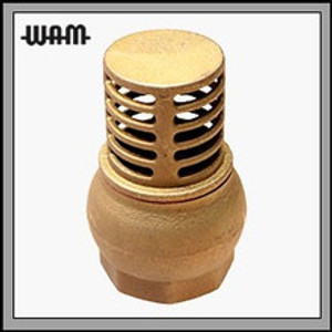 Brass Foot Valve (Valves)