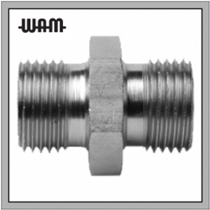 BSPP Male x BSPP Male
