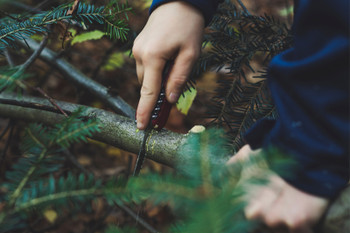 How Can You Teach Your Kids Responsible Knife Ownership and Safe Handling Practices?