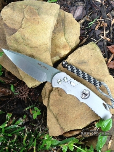 PROTECH TR4 SKULL TACTICAL RESPONSE AUTOMATIC LIMITED EDITION 4åäÌÝ_ SW TR-4.63