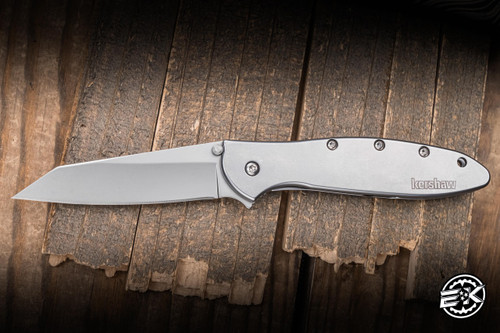 Kershaw Random Leek Assisted Flipper Knife Silver Stainless 3" 14C28N Reverse Tanto Bead Blast 1660R