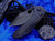 Borka Blades Stitch DLC Flag Stars/Stripes Engraved M390 Sebastijan Berenji Custom
