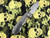 Ramon Chaves Knives 325 Megalodon