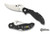 SPYDERCO PERSIAN 2 FOLDER SMALL ED SCHEMPP 4" STAINLESS C105G2