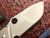 Skike Custom Knives Rogue Shark RS 2.5 Daydream Compound Grind Satin CPM-20CV