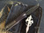 Marfione Hellhound Custom Combat Troodon AP DLC USN G8 Vegas