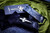 Microtech Custom/Marfione UTX-70 OTF Purple Haze Hellhound Mirror Polish