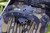 Marfione Custom/Bastinelli ICONIC Karambit Fixed Blade (2019 Blade Show)