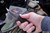 Tracker Dan Liberator Fixed Blade Foxtrot Logo 3" Double Edge (Preowned)