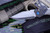Heretic Knives "Wraith" Automatic Titanium, CF Bolster, 3.6" Takefu Shiro 2 San Mai