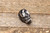 Harding Inc "Venom Bead" .925 Silver Two Tone