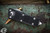 Microtech Mini Troodon OTF Automatic Cali Legal Knife 1.9" Dagger Stonewash 238-10
