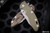 Rick Hinderer Knives XM-18 OD Green/Battle Bronze 3.5″ Skinny Harpoon Spanto