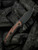 WE Knife Co. Snick Frame Lock Knife Black Ti/Cuibourtia Wood 3.5" Black 19022F-3