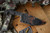 Stroup Knives Custom TU1 Fixed Blade Knife Black G10 4.5" 1095 Carved Clip Point w/Honeycomb Sheath