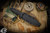 Bastinelli Knives "Grozo" Black G10 Fixed Blade 6" PVD Serrated