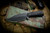 RMJ Tactical "UCAP" Blackout Textured Fixed Blade Knife 4" Black Textured (Preowned)