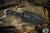 Microtech/Borka Blades SBD Fixed Blade Knife 4.3" Stonewash Dagger 201-10 (Preowned)