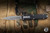 Microtech Dirac Delta OTF Automatic Knife Black Aluminum 3.75" M390 Dagger Stonewash Apocalyptic Part-Serrated 227-11AP