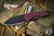 Medford Praetorian Swift FL Flipper Knife Red Aluminum/PVD Titanium 3.4" Drop Point PVD