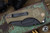 Medford Praetorian Scout M/P Folding Knife OD Green G10 3.75" PVD Tanto