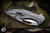 Koenig Knives "Arius" Titanium Style 55 3.5" Handrubbed M390 