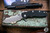Rick Hinderer Knives XM-18 3.5" Skinner Folding Knife Black G10, Battle Blue Titanium