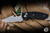 Three Rivers Manufacturing TRM Bulldog River-LOK Folding Knife Black G10 3.2" 20CV Stonewash