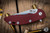 Rick Hinderer Knives XM-18 3.0" Harpoon Tanto Knife Red G10/Working Finish, Stonewash Blade
