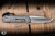 Chris Reeve Knives Large Sebenza 31 CGG Forever Flag Glass Blasted Titanium Knife 3.6" Tanto L31-1510
