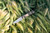 Chris Reeve Knives Small Sebenza 31 Folding Knife Glass Blasted Titanium, Natural Canvas Micarta Inlay 3.6" MagnaCut Drop Point Stonewash S31-1660