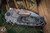 Medford Praetorian Ti BB/Gray "Predator" Sculpted Knife 3.75" S45VN Tanto DLC
