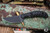 Toor Knives Shifter S Fixed Blade Knife Socom Black G10 2.75" M4 Drop Point Black KG Gunkote