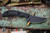Toor Knives Shifter S Fixed Blade Knife Socom Black G10 2.75" M4 Drop Point Black KG Gunkote