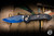 Microtech Marfione Select Custom LUDT Gen III Automatic Folding Knife Blue Accents 3.4" Blued Baker Forge CopperMai Damascus 1135-16MS2-1