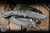 Microtech Marfione Select Amphibian Ram-LOK Folding Knife Frag Titanium 3.9" Apocalyptic Stonewash 137RL-10APFLGTBK