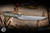 Microtech Boning Kitchen Knife OD Green G10 6" M390 Stonewash 3100B-10OD