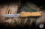 Microtech Ultratech Gen IV OTF Automatic Knife Tan Aluminum 3.5" M390 Stonewash 11214-10TA