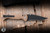Toor Knives Dropwing Folding Knife Coyote Tan G10 3.5" MagnaCut Black