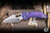 Microtech Marfione Select Stitch Ram-Lok Manual Titanium Purple Accents 3.75" M390 Stonewash Serrated 169RL-11MS5