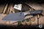 Microtech Santoku Kitchen Knife Black Carbon Fiber/Bronze Accent 6" M390 Stonewash DLC 3200B-1DLCCFS