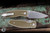 Three Rivers Manufacturing Neutron 2 Folding Knife OD Green Turtle Shell G10 3" MagnaCut TRM-N2LL-ODGN-TS-MC