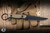 Toor Knives Serpent S Fixed Blade Knife Ranger Green G10 3.75" M4 Drop Point Stonewash KG Gunkote