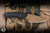 Buck 662 Alpha Backcountry Fixed Blade Knife Black Rubber 2.8" 420HC Drop Point Bronze 0662BKS1-B