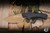 Buck Knives 664 Alpha Hunter Backcountry Fixed Blade Knife Black Veraflex Rubber 3.6" 420HC Drop Point Bronze 0664BKS1-B