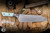 Microtech Chef Kitchen Cutlery Knife Caribbean Blue G10 Titanium Bolster 8" M390 Stonewash 3000-10BC