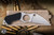 Spyderco Swick 6 Small Fixed Blade Knife Black G10 2.7" LC200N Wharncliffe SpyderEdge Satin CFB14P6