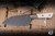 Microtech Kitchen Cutlery Santoku Knife Ivory Titanium Bolster 6" M390 DLC 3200B-1DLCIVS