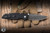 Preowned-Protech TR-3 Integrity Custom 001 Manual Folding Knife Reptile Textured Black  3.5" Vegas Forge Damascus Drop Point