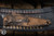 Microtech Signtaure Series Socom Elite Set Automatic Folding Knife Plague Outbreak Aluminum, Textured Inlay 4" M390 Spearpoint 160A-1SETPLOBSS